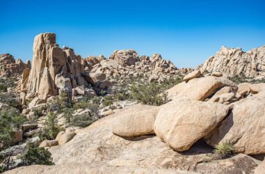 约书亚树自然公园最棒的背包客